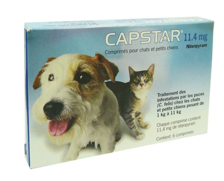 CAPSTAR CHIEN CHAT 11.4MG X6 COMPRIMES