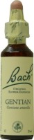 FLEURS DE BACH ELIXIR GENTIANE N° 12 20ML