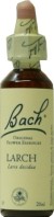 FLEURS DE BACH ELIXIR LARCH N° 19 20ML