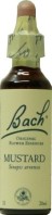 FLEURS DE BACH ELIXIR MUSTARD N° 21 20ML