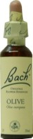 FLEURS DE BACH ELIXIR OLIVE N°23 20ML