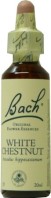 FLEURS DE BACH ELIXIR WHITE CHESTNUT N° 35 20ML