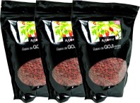 BAIES DE GOJI BERRY NATURE 3 MOIS CURE 3*500 GR