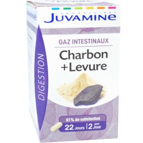 JUVAMINE GAZ INTESTINAUX DIGESTION 44 COMPRIMES