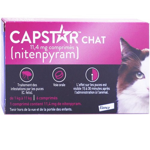 Frontline Combo Chat 6 Pipettes